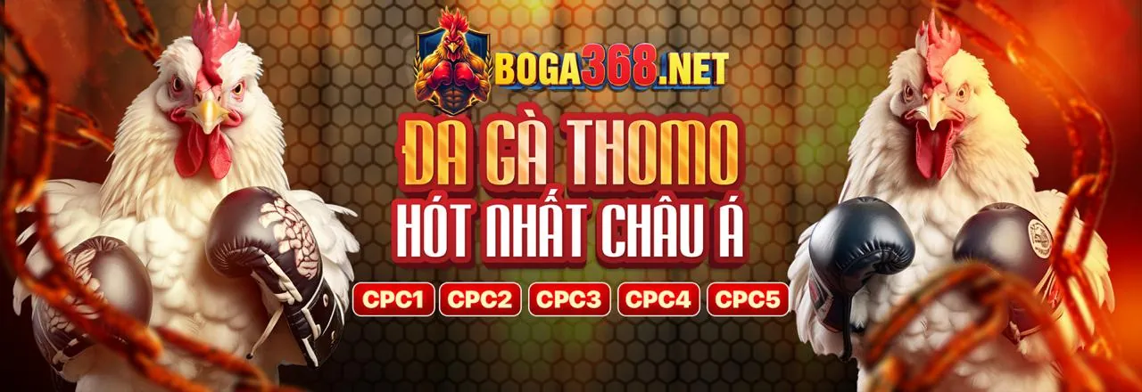 Banner chính đá gà f168n